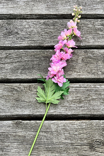 Delphinium roza 79 cm