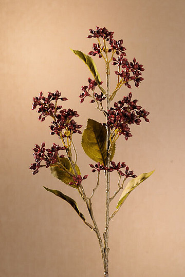 SUHA VIBURNUM TINUS 58 cm bordo