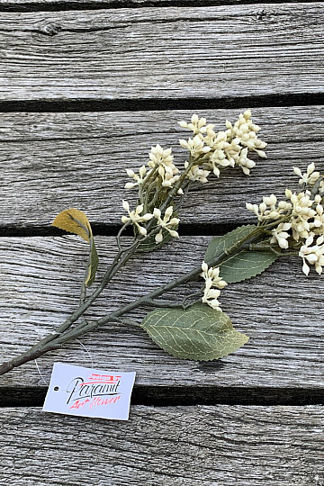SUHA VIBURNUM TINUS 58 cm bela