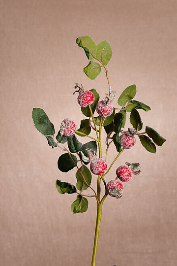 SNEŽNO POKRITE PUŠČICE