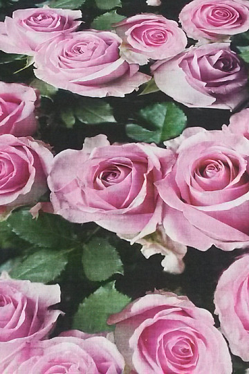 Dekorativno blago Rose digitalni tisk 3D