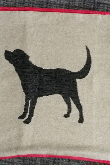 prevleka DF za pse LABRADOR bež
