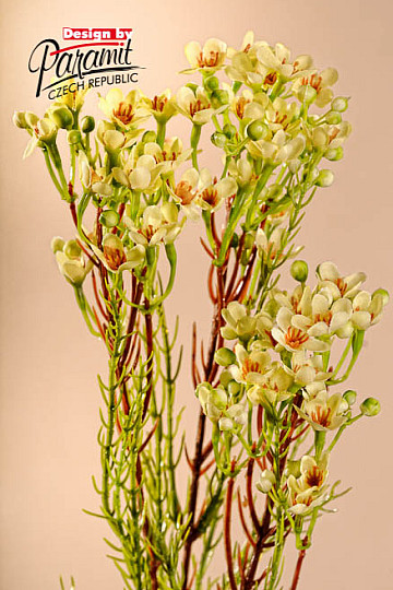 Voščenka rumena 78 cm