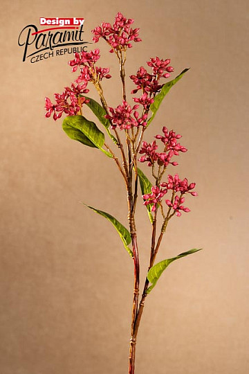 Japonska vinska jagoda 63 cm