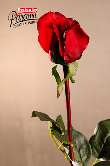 Vrtni popek rdeč 70 cm