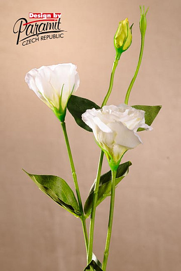Lisianthus bel 67 cm