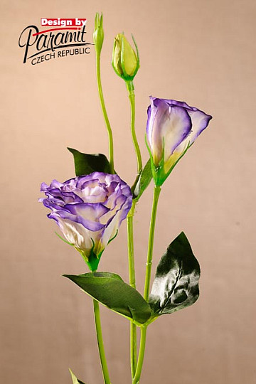 Lisianthus belo moder 67 cm