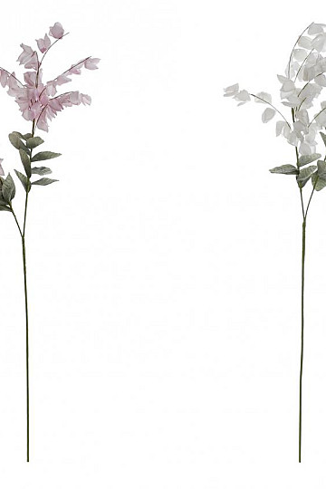 Glicinija 126 cm