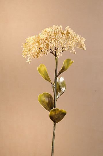 SUH POLNOCVETI SEDUM 46 cm bel