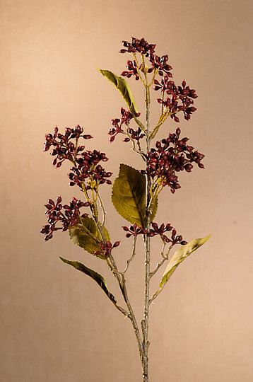 SUHA VIBURNUM TINUS 58 cm bordo
