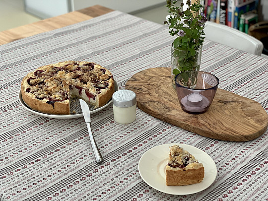 Namizni prt in šal TOSCANA VALERY RIGA BORDON STRIPE