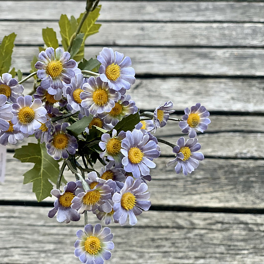 MINI DAISY MODRA