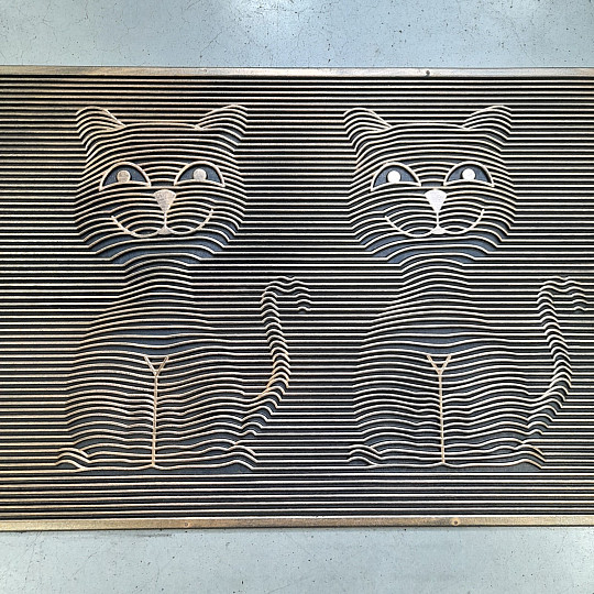 Gumijasta predpražnica DVE MAČKI 3D