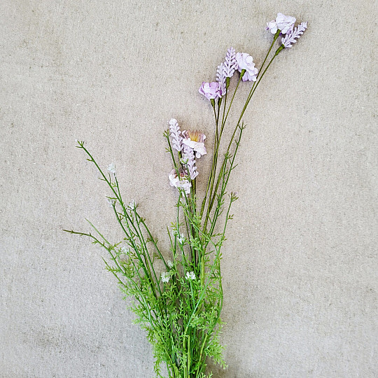 VIJOLIČNI TRAVNIŠKI CVETOVI