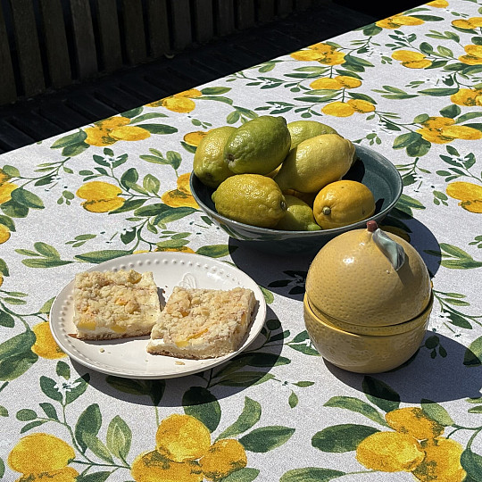 Prt LIMONINA
