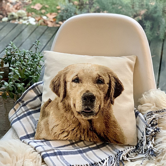 Tapiserijska prevleka za vzglavnik LABRADOR PES