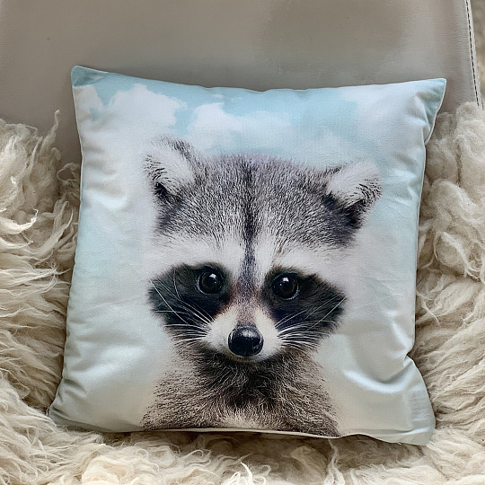 Dekorativni premaz RACCOON
