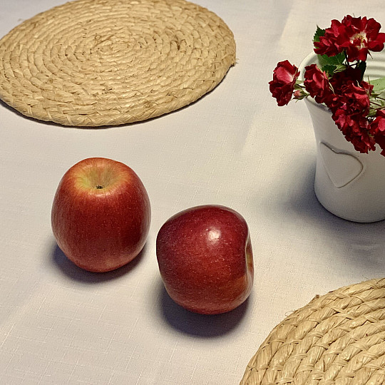 TEFLONSKI prt ELBA bel