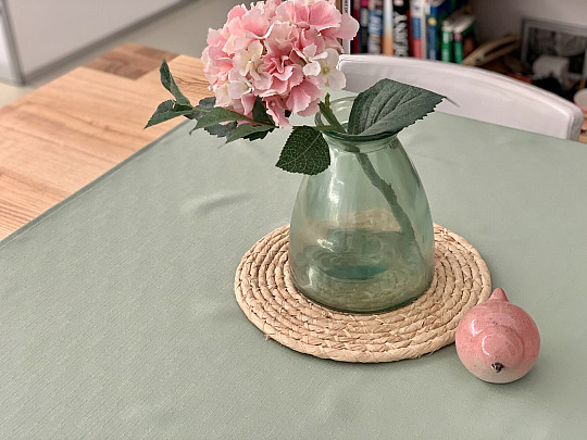 TEFLONSKI prt ELBA zelen