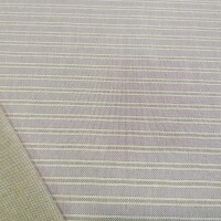 Dekorativna tkanina Iris stripes - zelena 66