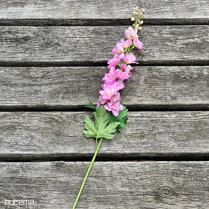 Delphinium roza 79 cm