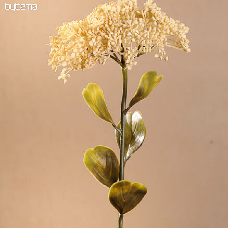 SUH POLNOCVETI SEDUM 46 cm bel