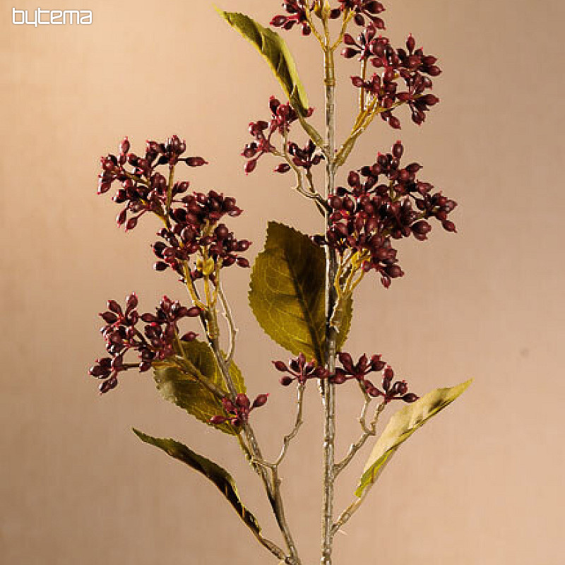 SUHA VIBURNUM TINUS 58 cm bordo