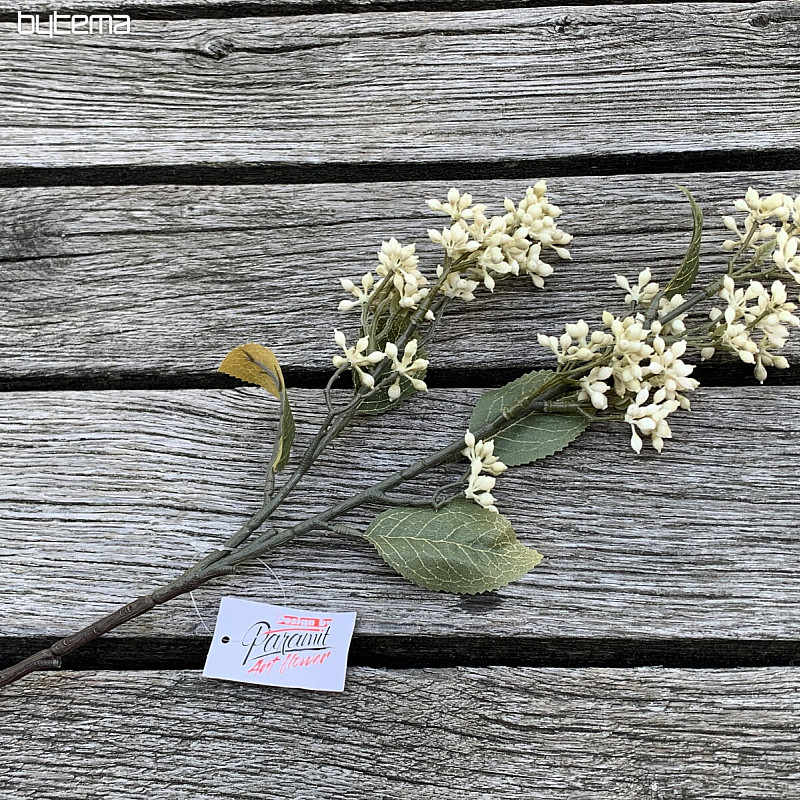 SUHA VIBURNUM TINUS 58 cm bela