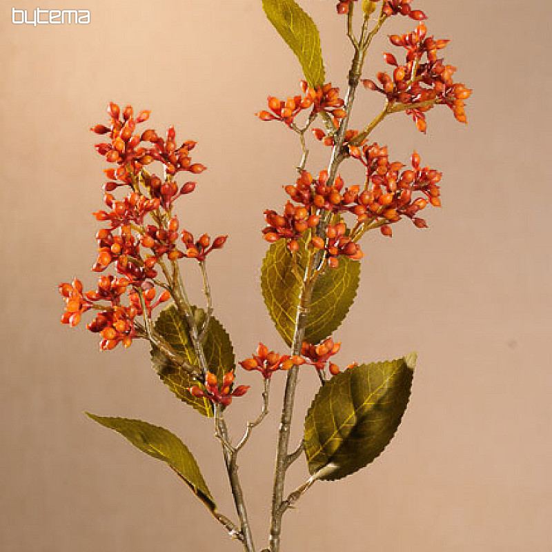 SUHA VIBURNUM TINUS 58 cm oranžna