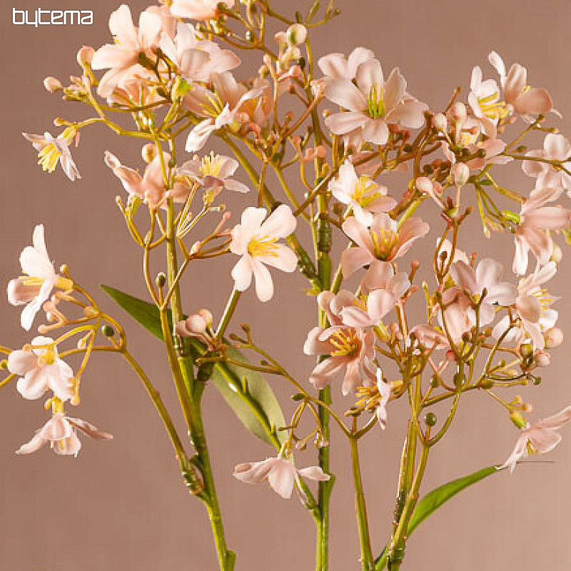 DAPHNE SPRAY ROZA