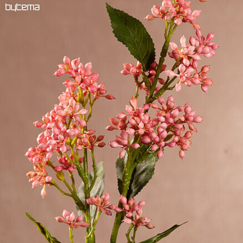 VIBURNUM TINUS ROZA