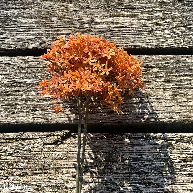 SUHA KRONA CVET POMARANČE