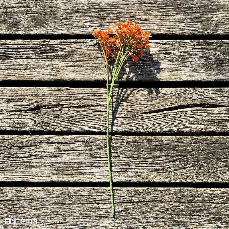 MAVEČNI SPREJ ORANŽNEGA OBLIKA