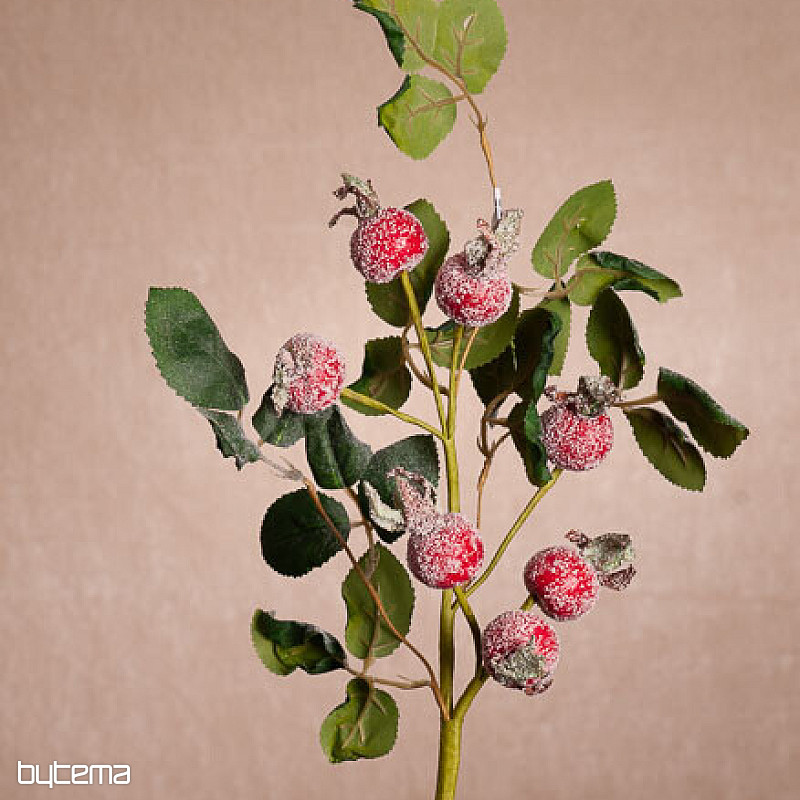 SNEŽNO POKRITE PUŠČICE