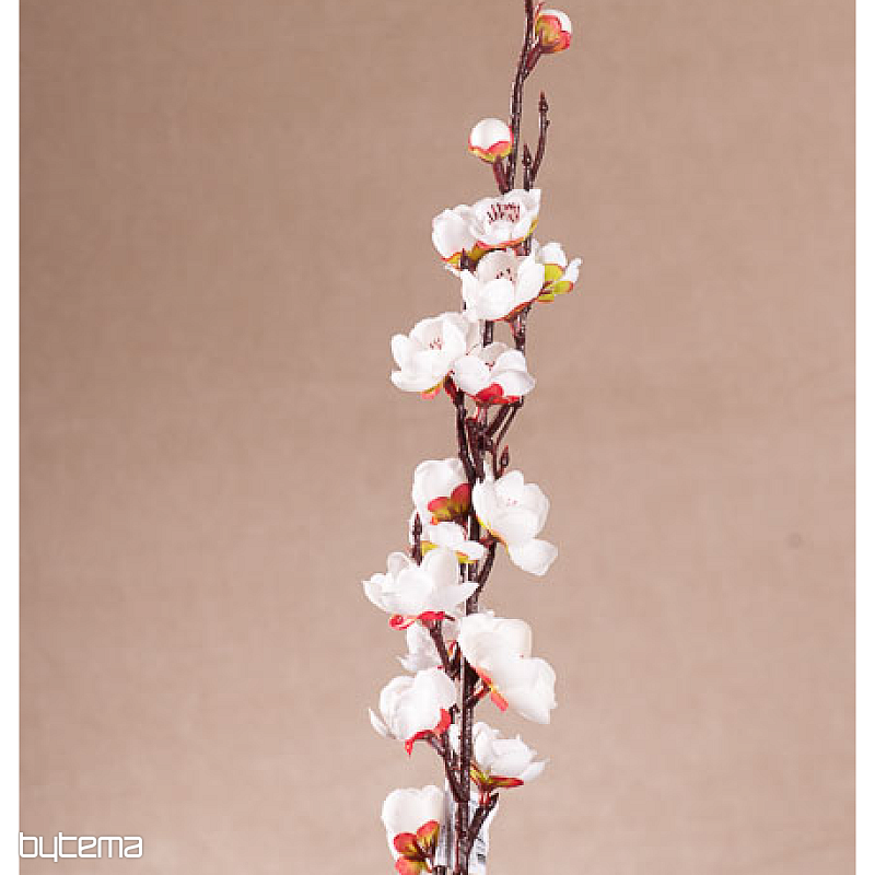 BELA ČEŠNJA POMLAD