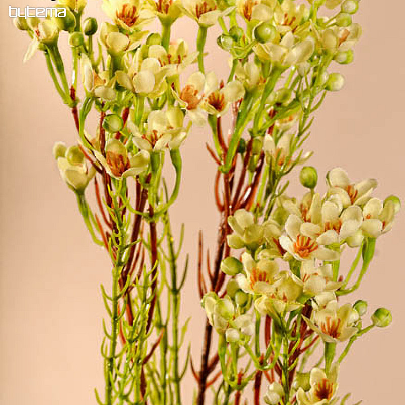 Voščenka rumena 78 cm