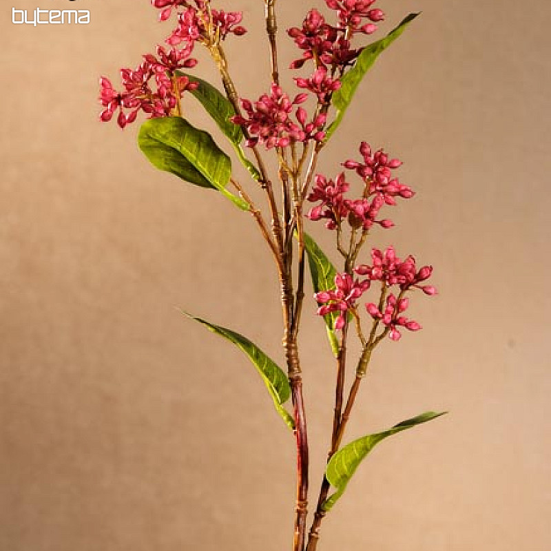 Japonska vinska jagoda 63 cm