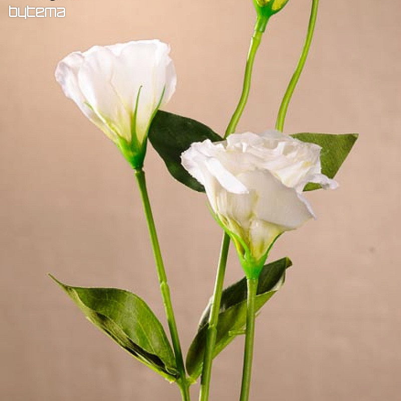 Lisianthus bel 67 cm