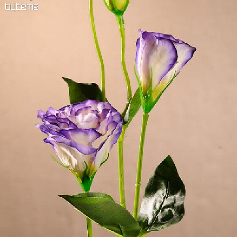 Lisianthus belo moder 67 cm