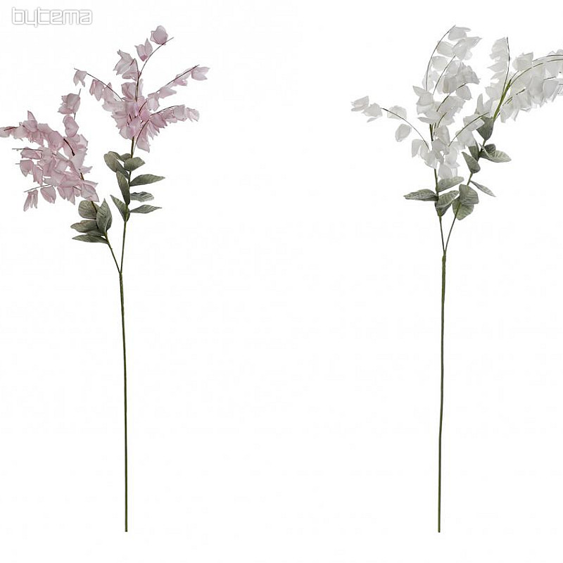 Glicinija 126 cm