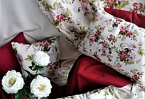 Rose Eliana - kraljica med vrtnicami