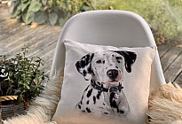 Za ljubitelje živali - mehkoba, ki vas bo ukrotila