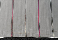 Zavesa voile siva in vijolična črta višina 180cm