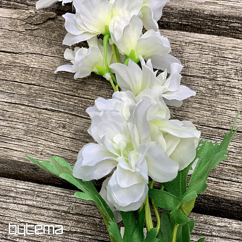 Delphinium bel 79 cm