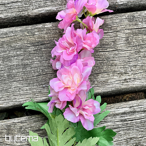 Delphinium roza 79 cm