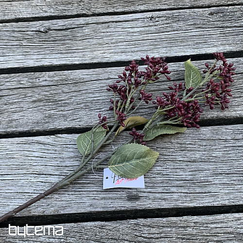 SUHA VIBURNUM TINUS 58 cm bordo