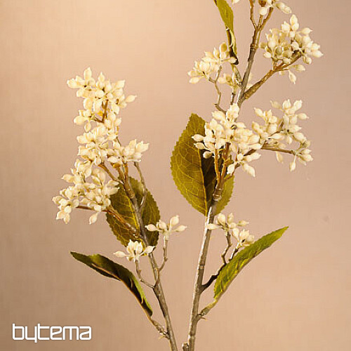 SUHA VIBURNUM TINUS 58 cm bela