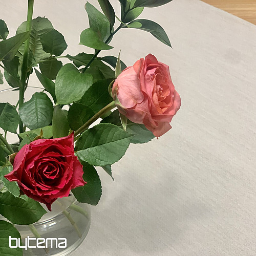 Tapiserijski prt in šal NATUR