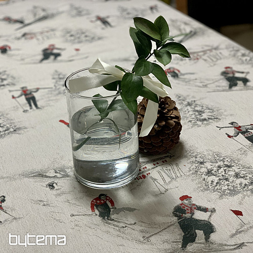 Luksuzni prt in šal SKI ALPINE