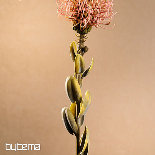 SUHA MALA PROTEA ROZA